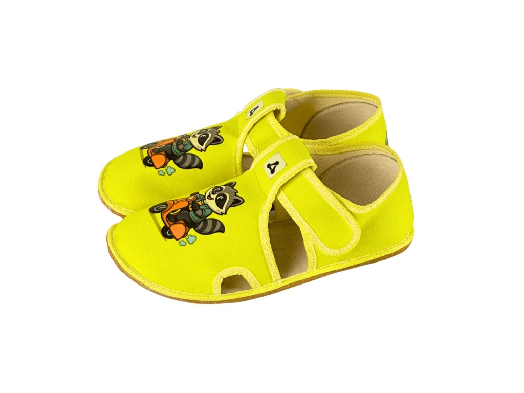 Antal Rascal Raccoon